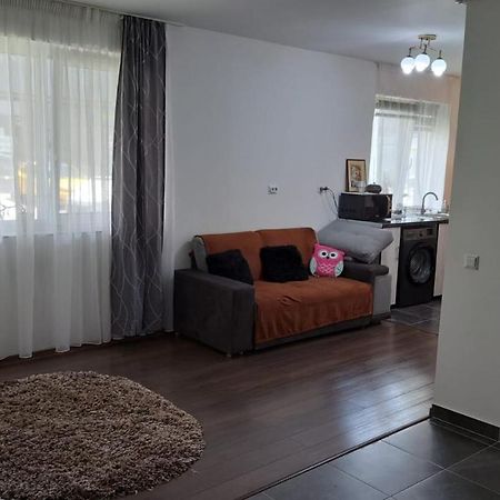 דירות Sinnicoara Cozy Nest מראה חיצוני תמונה