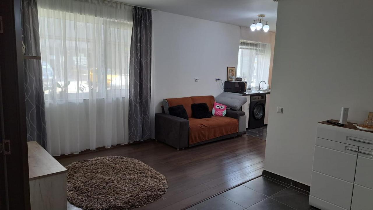 דירות Sinnicoara Cozy Nest מראה חיצוני תמונה