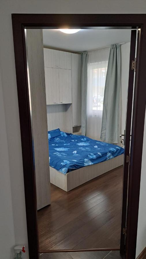 דירות Sinnicoara Cozy Nest מראה חיצוני תמונה
