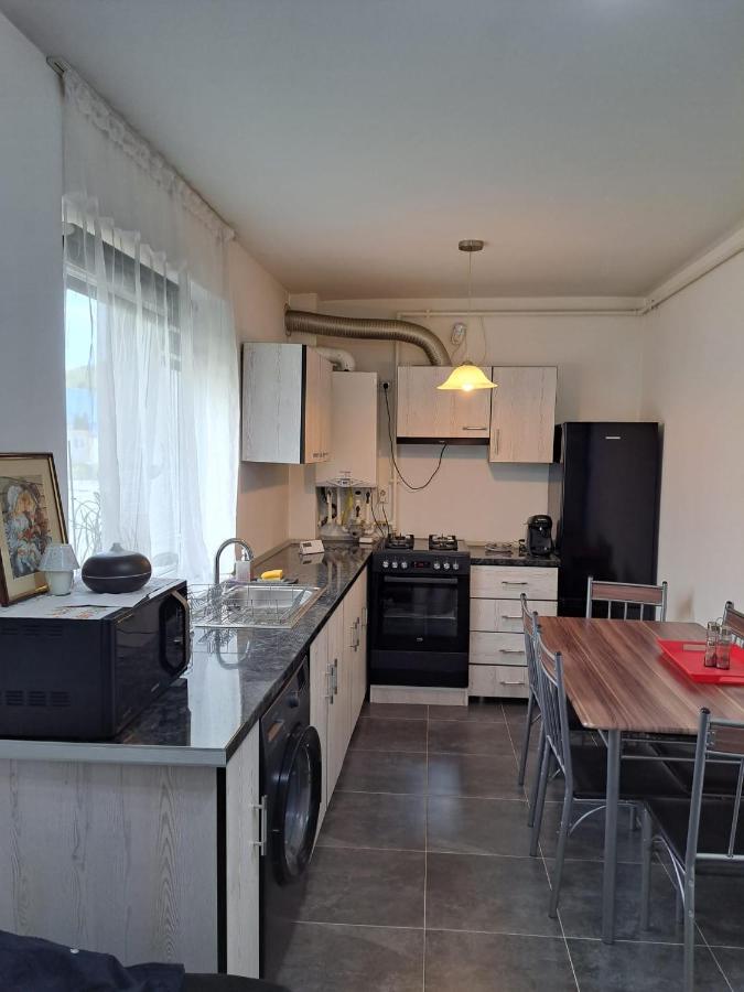 דירות Sinnicoara Cozy Nest מראה חיצוני תמונה